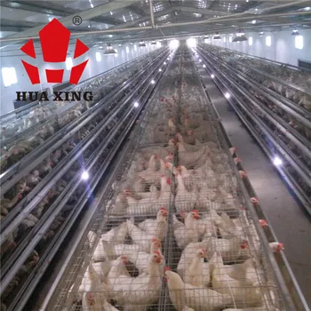 Chicken Cage For Poultry Farm For Nigeriakenyasouth Africa Buy Chicken Cagelayer Chicken Cageautomatic Chicken Cage For Sale Product On