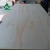 WADA branding Chinese radiata pine plywood 9mm 12mm 15mm 18mm