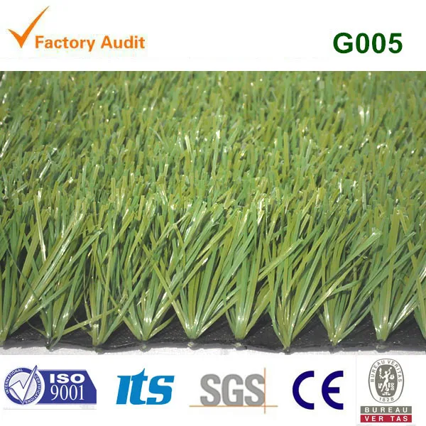 G005 (2).jpg