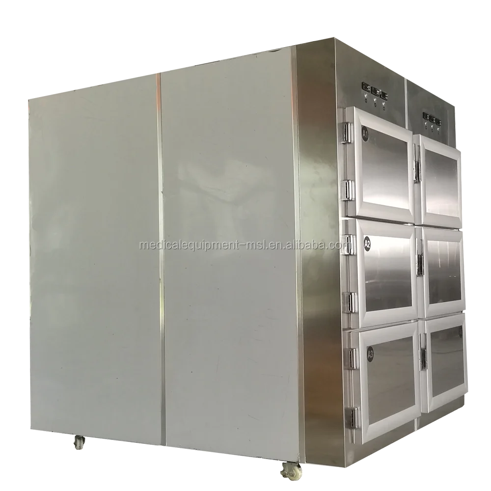 6 bodies morgue  (2).png