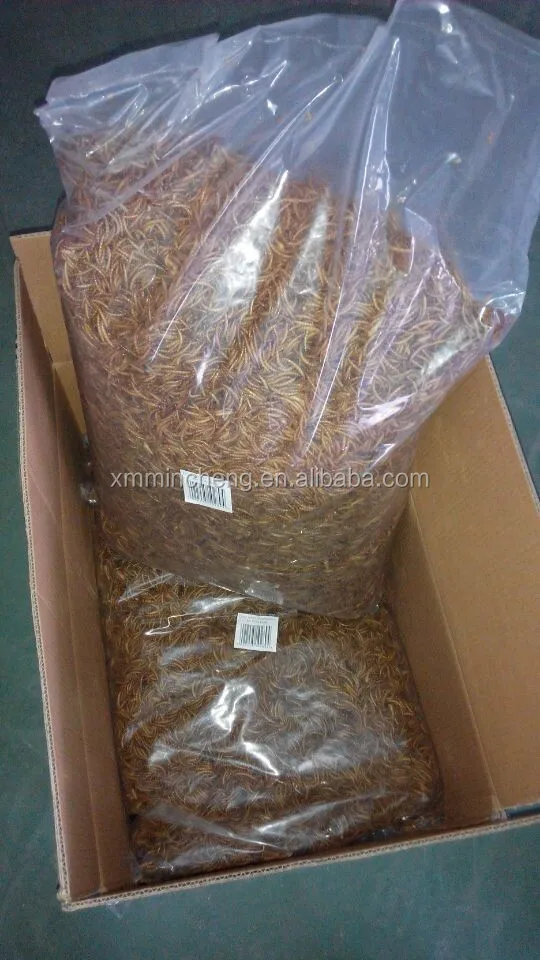 mealworms package-5kg per bag,2bag per carton.jpg