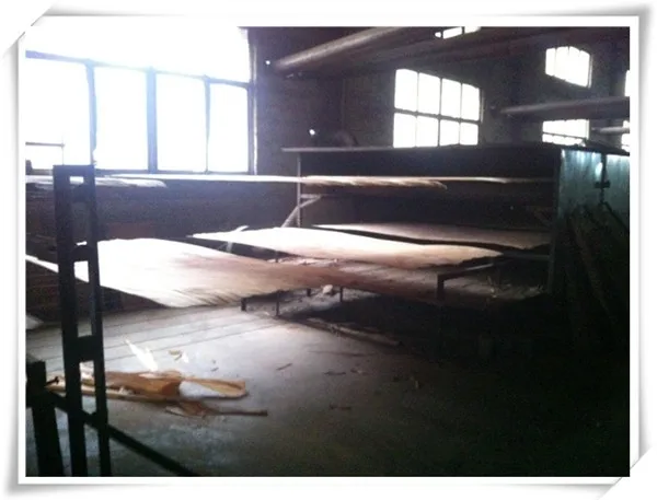 0.3mm natural wood veneer 0.3mm nature gurjan wood veneer /keruing laos