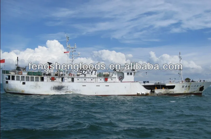 sashimi grade frozen bigeye tuna long line