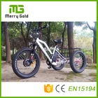 electric tricycle china/fat bike tire bicycle/boosted electric tricycle with lithium battery