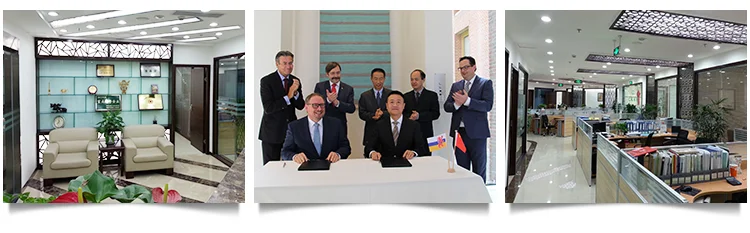 Salmonella Typhoid Antigen rapid test kit