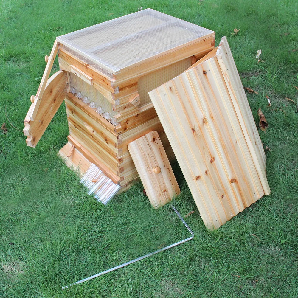 automatic bee hives