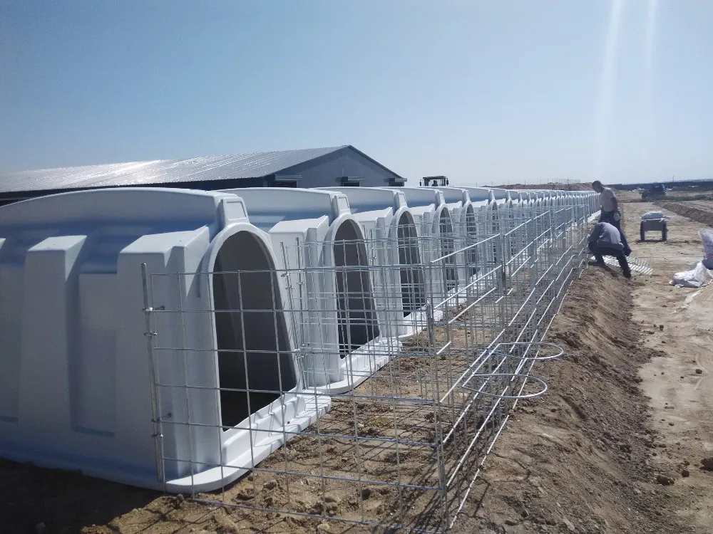 calf-housing-buy-calf-hutch-with-wide-fence-draught-free-calf