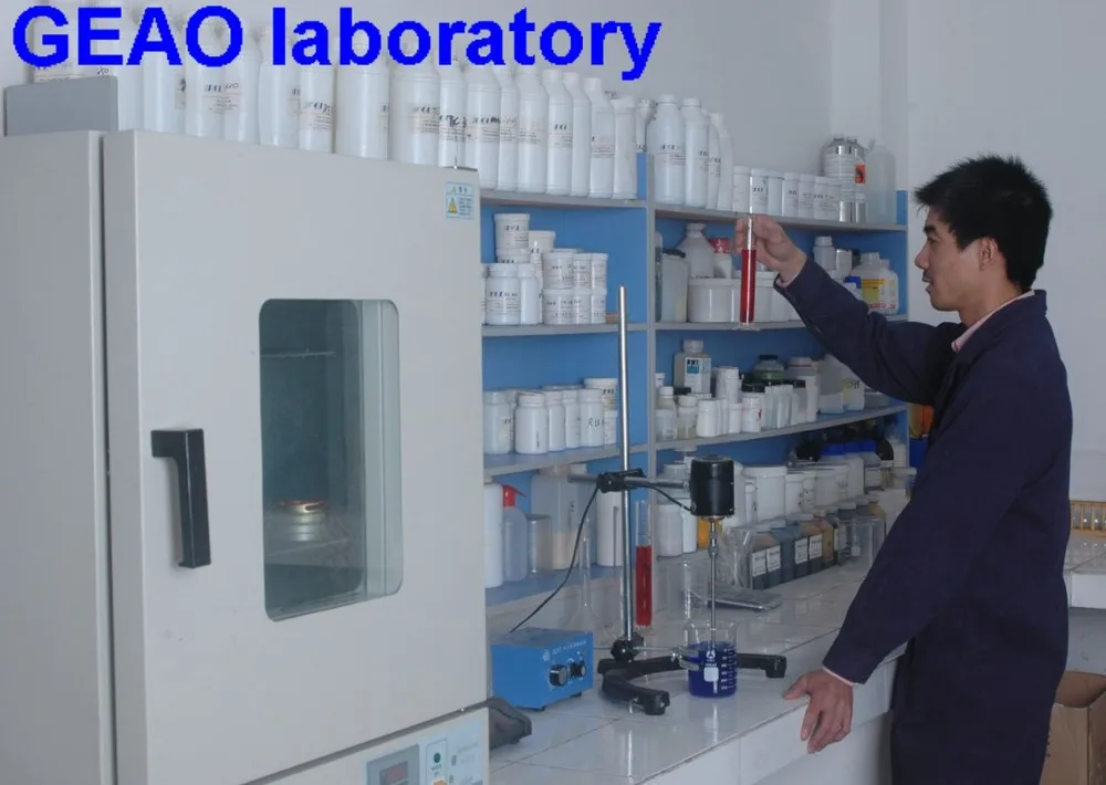 GEAO laboratory.jpg