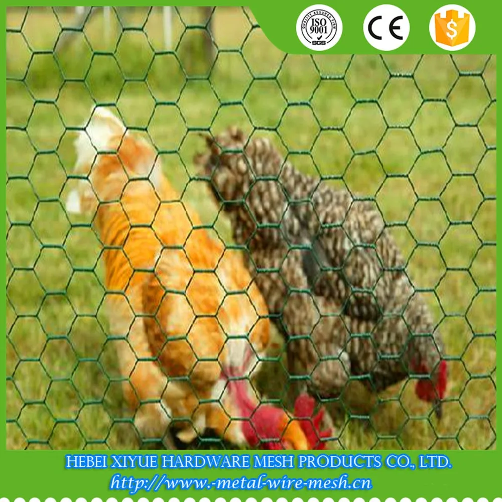 Wholesale hexagonal chicken wire mesh - Alibaba.com