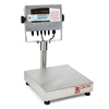 Portable electronic platform bench scale