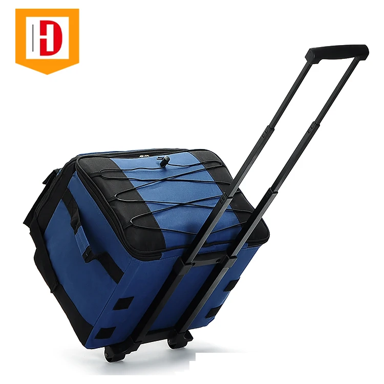 frozen travel bag