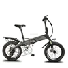 Cyrusher XF500 250 Watt 20in Mini Folding Bike with Bike Computer 5 Speeds Setting