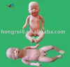 HOT SALES New model of primary fetus, baby model