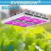 Indoor farm used programmable LED Grow Lights full spectrum high technology farm machine: LED Grow Lighting