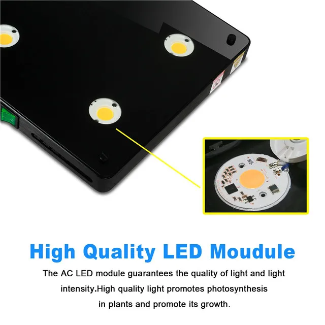 indoor plant led grow.jpg