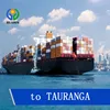 Shipping freight Sea Ocean from China to TAURANGA New Zealand