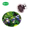 Low PAHs pure vaccinium myrtillus bilberry extract