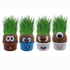 2019 update kids toy environmental product mini garden plant for decoration