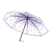 /product-detail/cheap-21inch-clear-cherry-blossom-small-transparent-folding-umbrella-60778144552.html