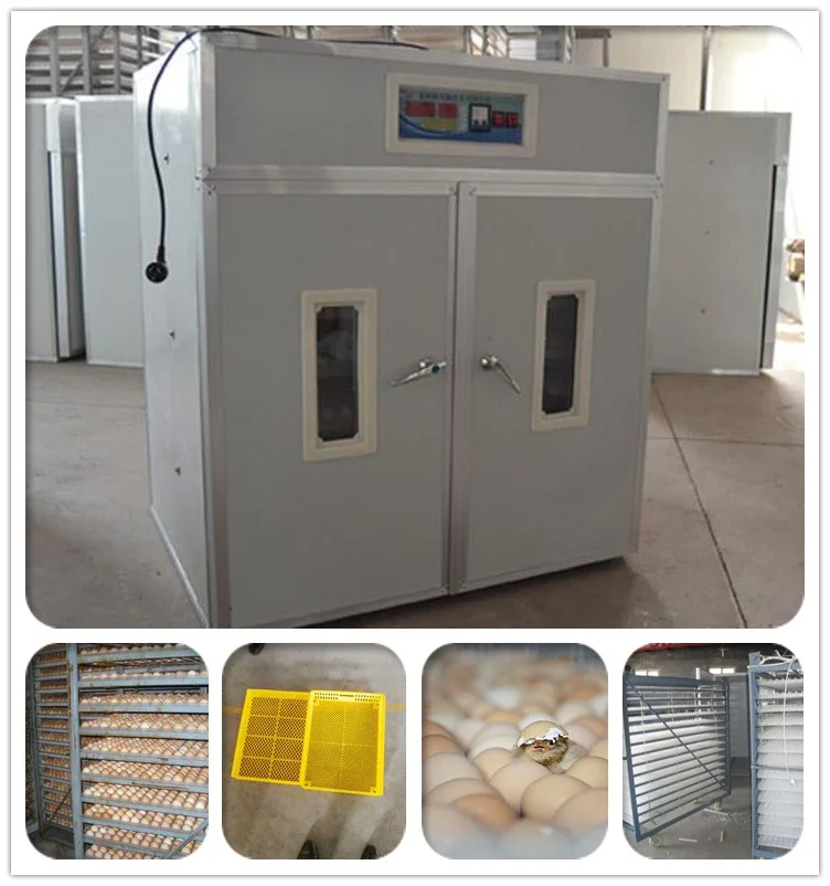 2112 tye High hatching rate automatic Chicken egg incubator /Egg hatching machine price