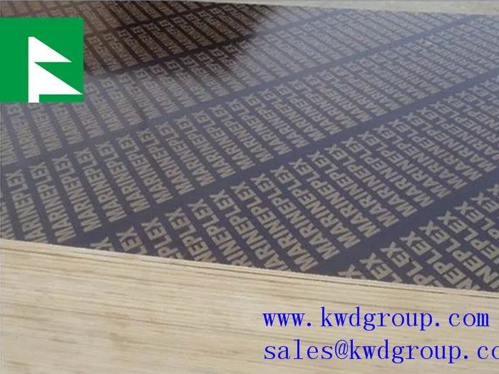 18mm marine plywood/black film faced plywood manufacturer
