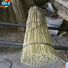 Agriculture bamboo cane support tree 4ft 10-12mm