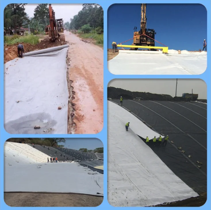 paste-pic-dp_uuid_o8p1y