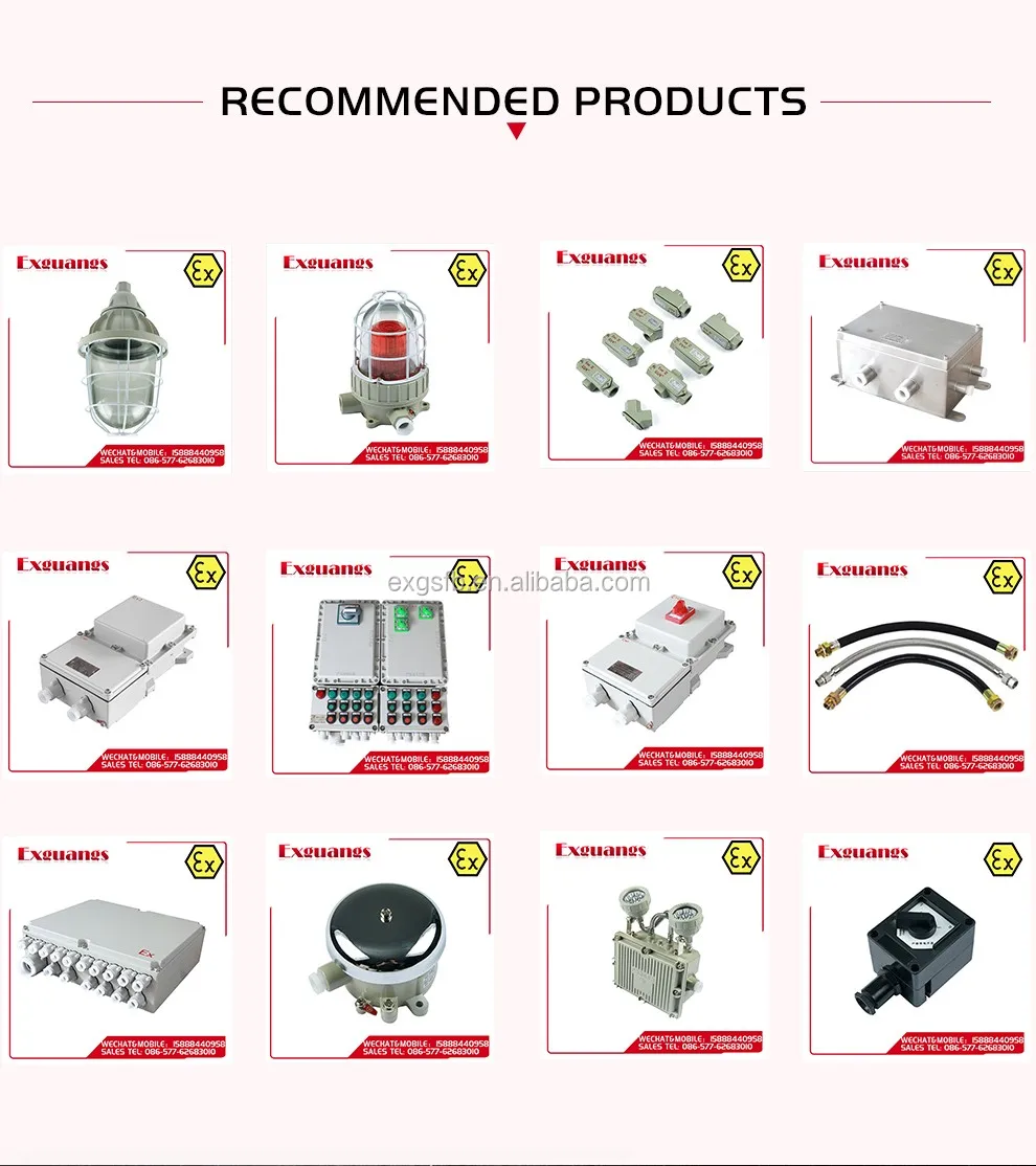 Chinese factory oem BJX51 explosion proof junction box(IIB IIC DIP)