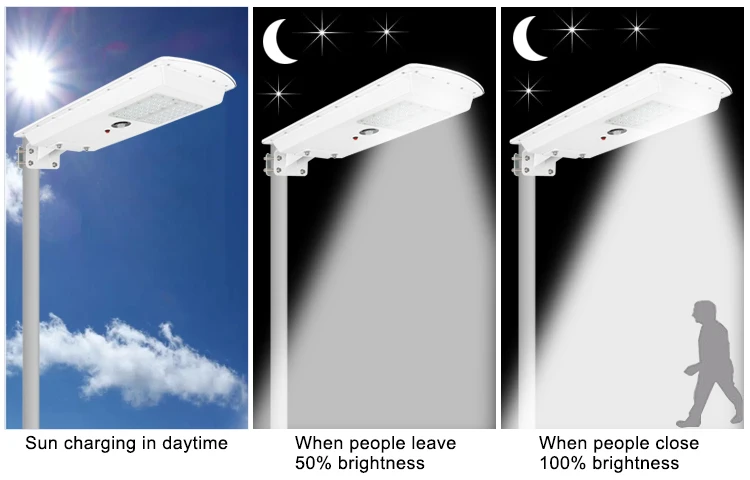 solar street light (4)