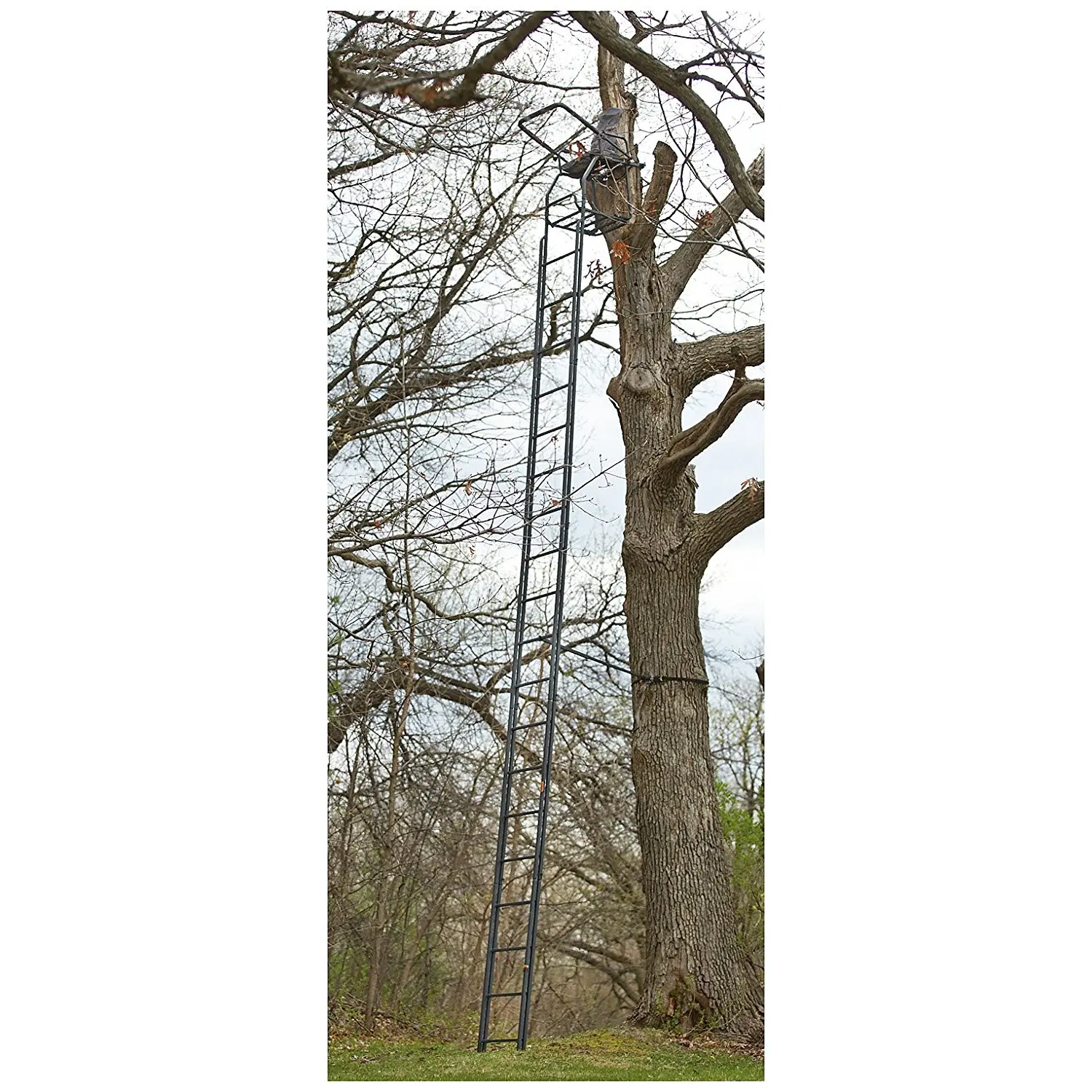 ladder tree stands