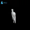 FRP white dog model pet clothing display model Bright white dog mannequin dog model