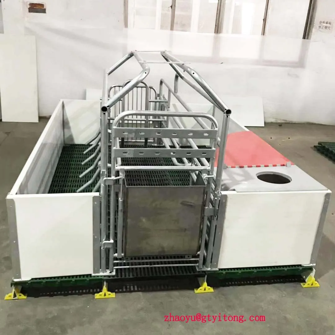 Gestation And Insemination Pregnancy Cage Pig Stalls - Buy Pregnancy ...