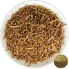 Long Dan Cao Organic High Quality Natural Herb Gentian Extract Powder In Bulk
