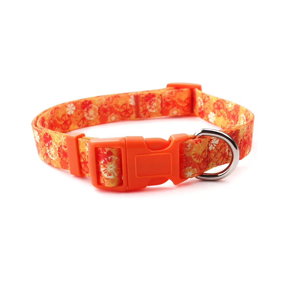 polyester dog collar