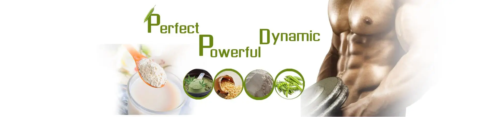 Bulk and Wholesale Organic Pea Protein Isolateg