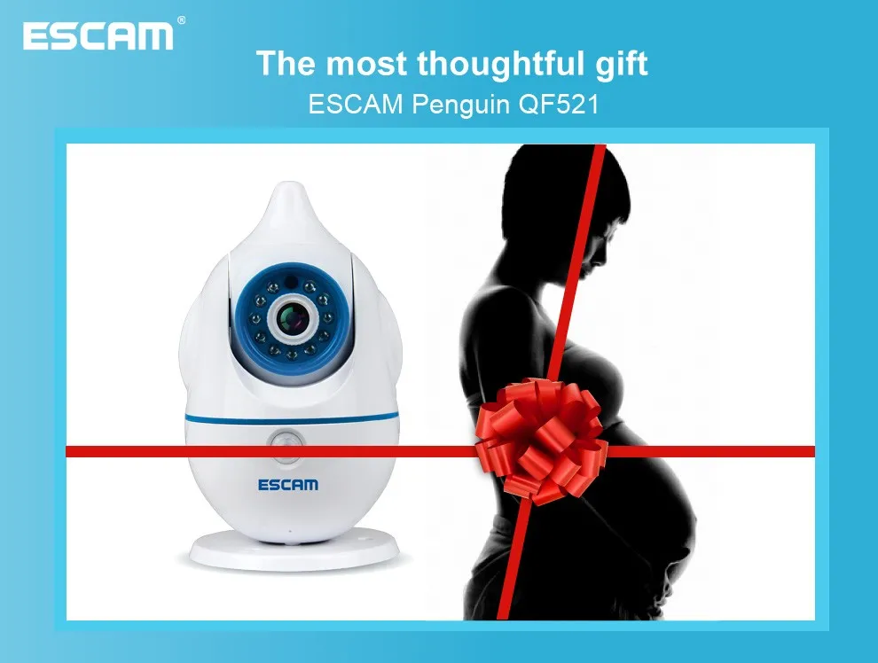 NetWork Technology and IP Camera Type P2P IP Webcam ESCAM QF521