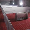 /product-detail/plastic-slat-floor-for-pig-crate-poultry-farm-60768599843.html