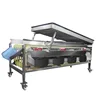 fruit sorting line/onion sorting machine