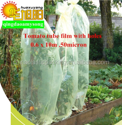 70micorn Thickness Pe Plastic Tomato Plant Cover For Agricultural Use