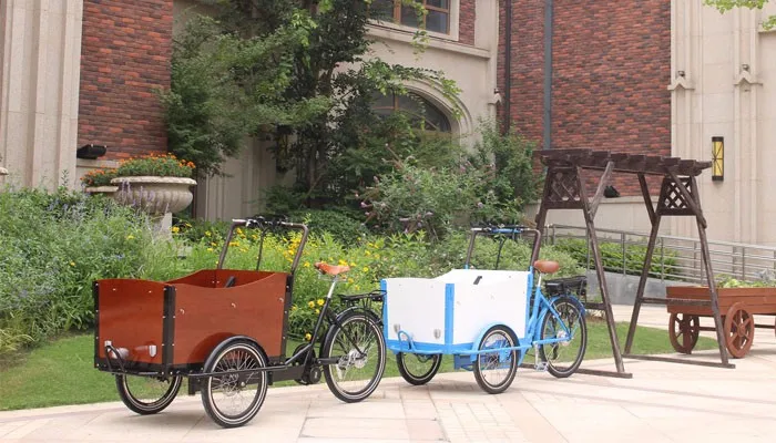 Netherlandscargo tricycle with cabin moped cargo tricycles cargo bicycle for children