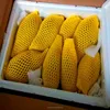 Factory Direct Hottest Selling EPE Colorful Fruit Foam Packing Net/Lazihouzhentao