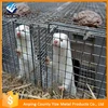 Stainless Steel Mink Cages/Two Layers Mink Cage For Sale/12 nests,16 Cells Mink Cages (factory supply)