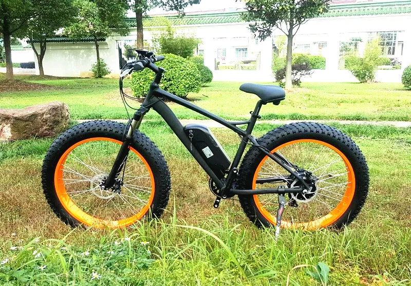 ecycle in egypt