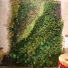 Indoor Or Outdoor Plants Plastic Artificial Vertical Garden Green Wall, Green Wall System