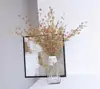 Single Stem Small Fruit Flowers Branch as Decorative Flowers or Plants