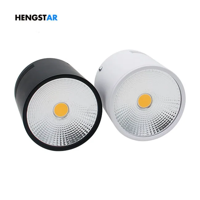 Ceiling Mount Down Light 20W 25W 30W Surface Mounted LED Cylinder Downlight