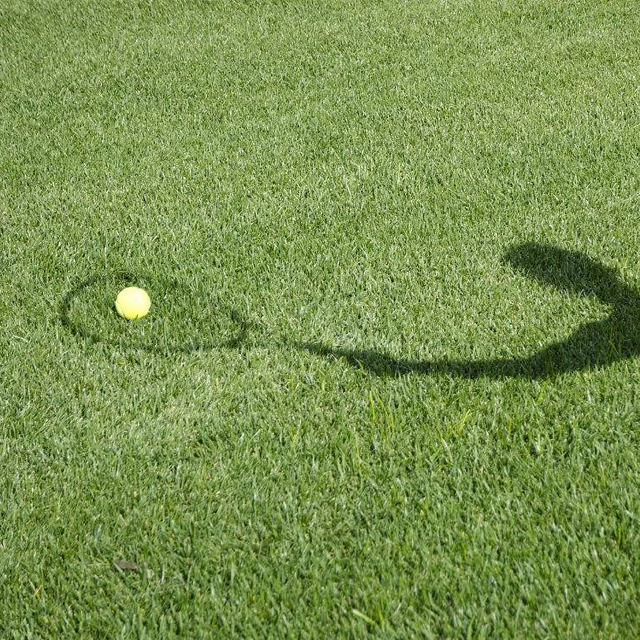 Grass Tennis Court