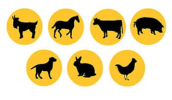 eac10m-animals.png