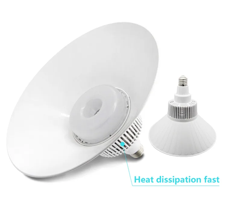 Bulb-C-Detail-750-07.jpg