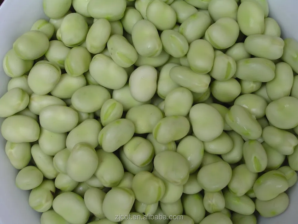 frozen broad bean frozen fava bean